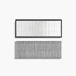 Model Y Hepa и Carbon filter комплект